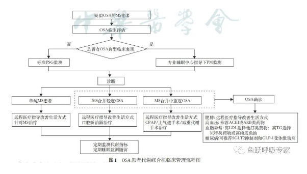 高流量呼吸湿化治疗仪