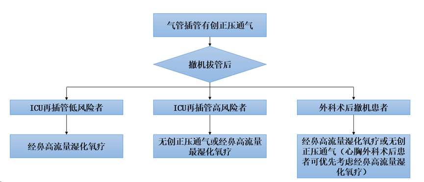 无创呼吸机,高流量呼吸湿化治疗仪,睡眠监测