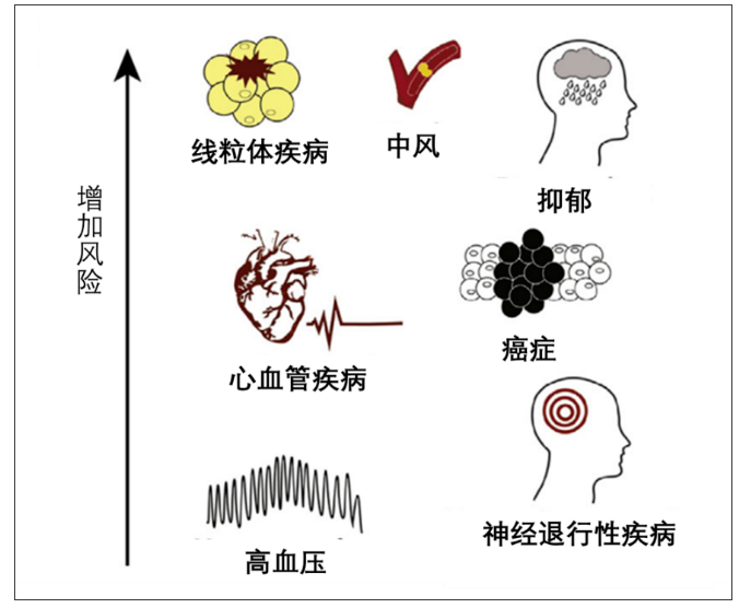 无创呼吸机,高流量呼吸湿化治疗仪,睡眠监测